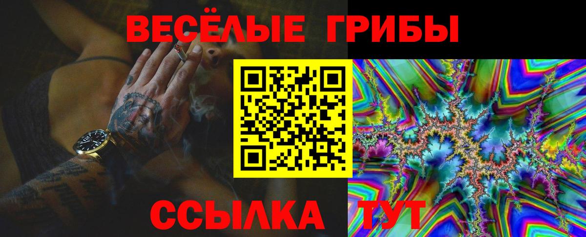 Псилоцибиновые грибы Cubensis  закладка  Озёрск  Вход с VPN  Псилоцибиновые грибы MAGIC MUSHROOMS 